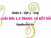 Bài 1.3 trang 10 Toán 9 tập 1 Kết nối tri thức SGK